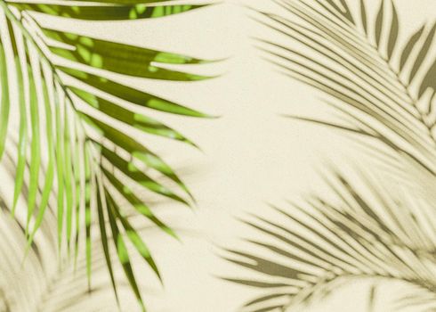 palm leaf shadow background with beige wall and out of focus palm leaf. 3d render