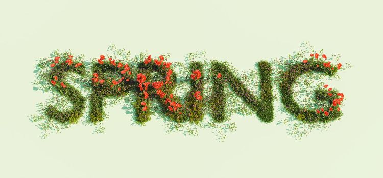 sign with the word SPRING of spring flowers on a green background. 3d render