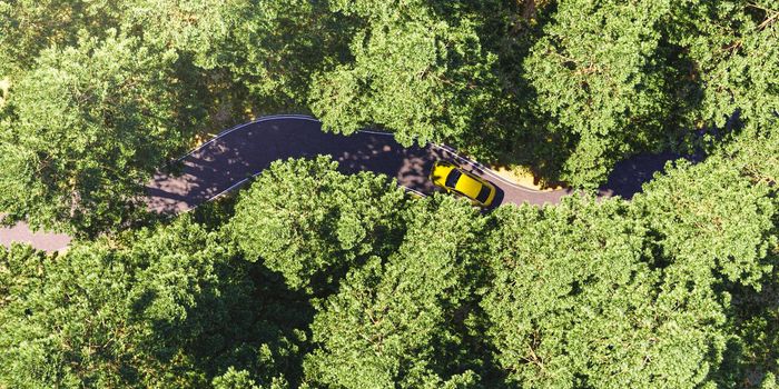aerial view of forest with curvy road and yellow car passing through it. concept of freedom, travel, vacation. 3d render
