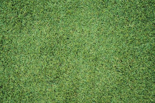 artificial grass texture with a lot of volume