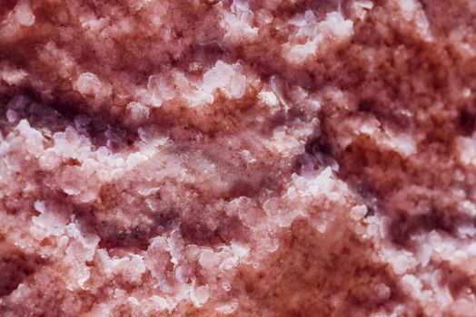 pink salt crystals on the pestle of a salt mine lake