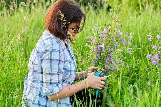 Woman picking wildflowers bells in a spring summer grass meadow. Middle-aged female enjoying the beauty of nature