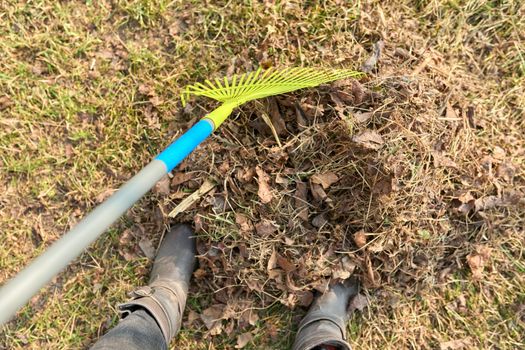 Spring cleaning of the garden with a rake from fallen leaves, dry grass. Spring seasonal gardening, springtime