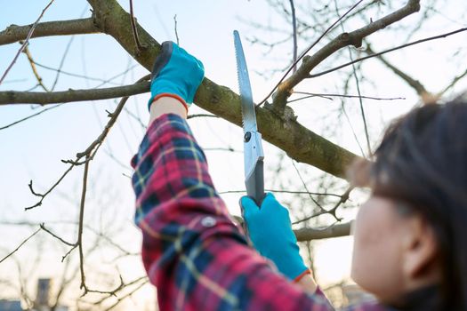 Close-up of a female gardener with a saw cutting off branches of fruit trees in the garden. Spring seasonal gardening, springtime