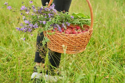 Close-up of a basket with a harvest of ripe red strawberries and a bouquet of wildflowers on a grassy meadow in a woman's hand. Spring time, nature, spring, summer, beauty, delicious natural berries