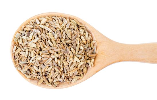 Dried fennel seeds in wooden spoon isolated on white background, saved clipping path.