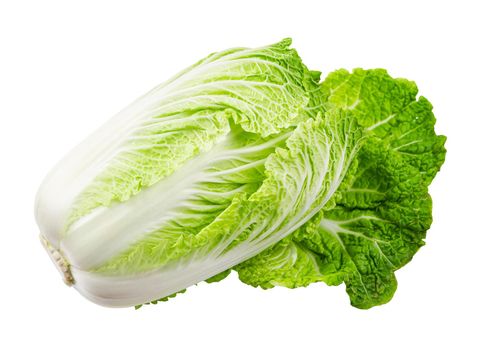 Napa cabbage or chinese cabbage isolated on white background, Save clipping path.
