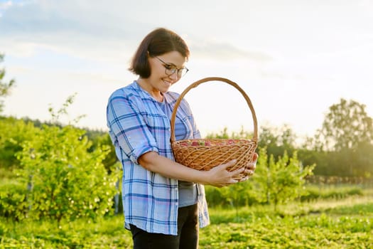 Farm field with strawberries, woman picking berries with a basket. Growing organic, natural strawberries. Healthy food, fresh sweet tasty vitamin berries