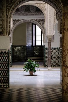 April 2019 - Seville Spain - Interior view of courtyard of Royal Alcazar with plant