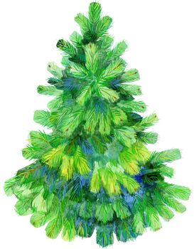 Watercolor christmas tree. Isolated pine tree illustration