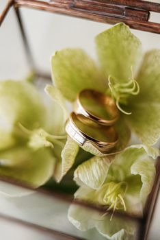 gold wedding rings with a wedding decor