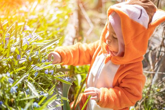 adorable toddler with spring flowers outdoors in sunlight