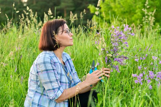 Woman picking wildflowers bells in a spring summer grass meadow. Middle-aged female enjoying the beauty of nature