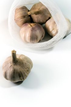 Garlics on white background, spice herb and food ingredient