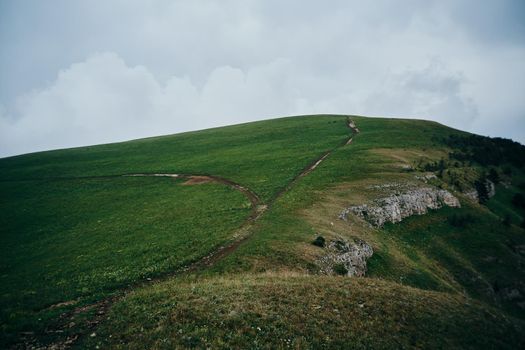 Field flowers mountains travel adventure nature. High quality photo