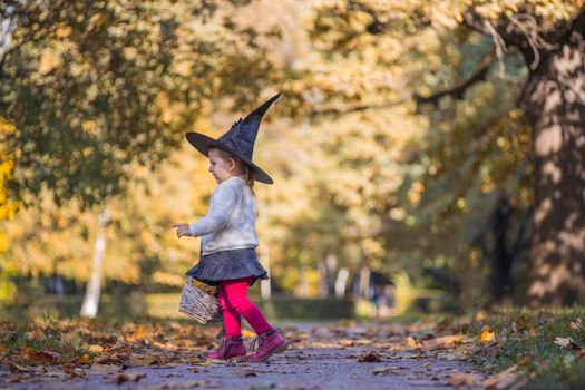 adorable little toddler girl walking in autumn park. girl in witch costume and black hat cosplay halloween costume. halloween celebration