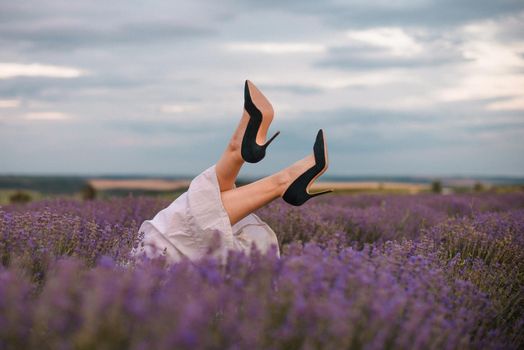 Selective focus. The girls legs stick out of the lavender bushes. Bushes of lavender purple in blossom, aromatic flowers at lavender fields.