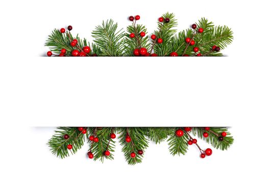 Christmas green fir tree branch and red holly berry frame border isolated on white background