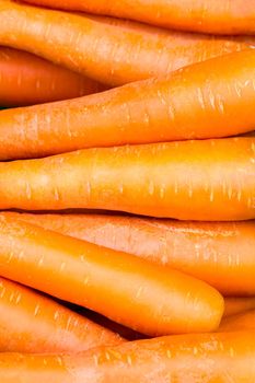 Fresh Organic Carrot, Food For Health Background.