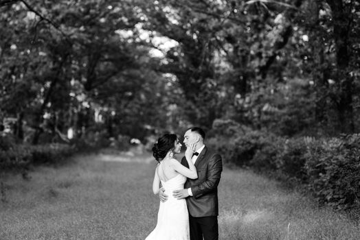 A couple in love a guy and a girl on a walk in the forest belt