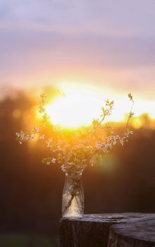 Spring cherry bouquet in a glass vase outdoors