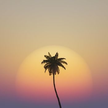 tropical background of isolated palm tree with warm sunset behind. 3d render