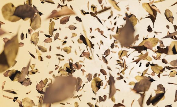 beige abstract background of autumn leaves with selective focus falling. winter and autumn concept. 3d render