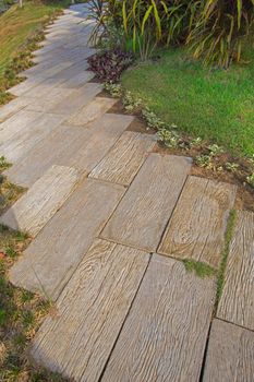 Stone walkway in the garden