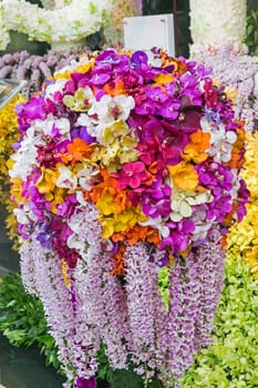 Orchid flowers with a variety of beautiful colors.