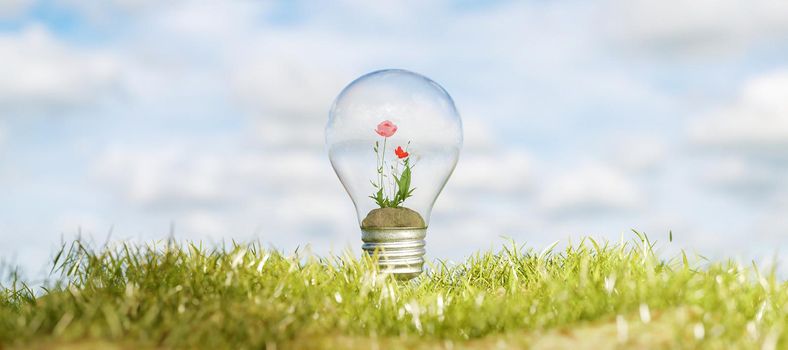 light bulb with flowers inside on grass. environmental concept. 3d render
