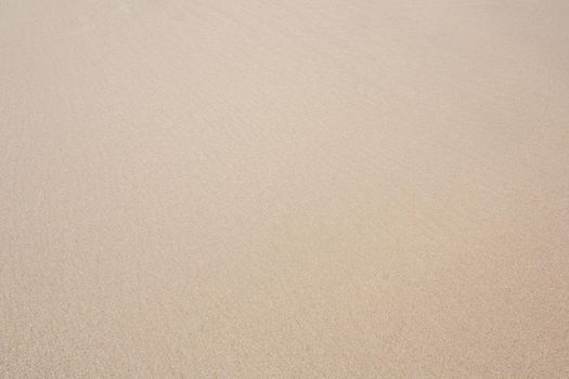 Sand texture. Sandy beach for background. Top view