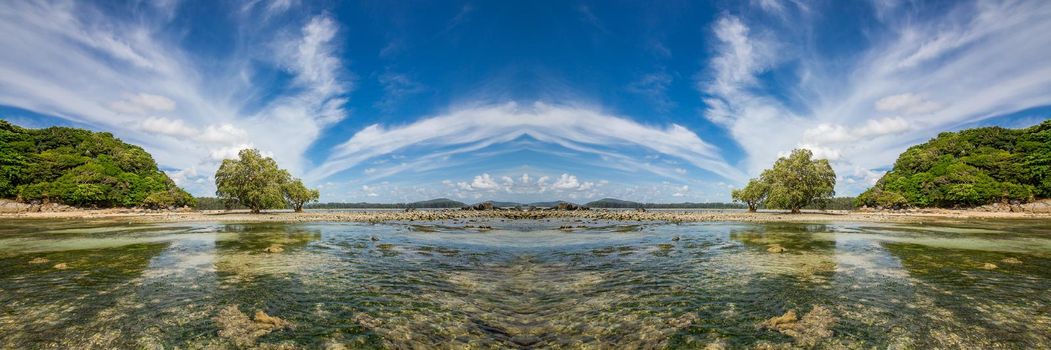 An ocean underwater reef with sun light through water surface. seagrass field