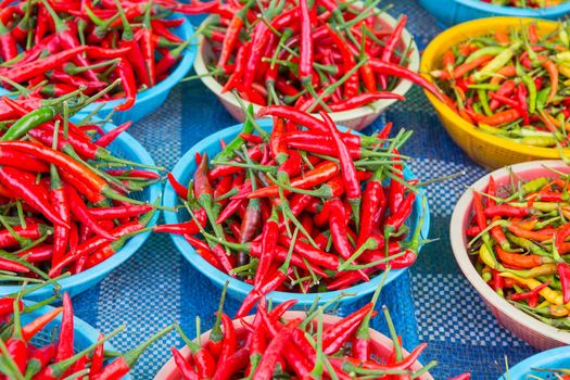 Chili sold in the market.