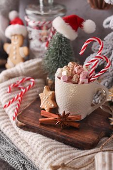 Cozy christmas composition with a cup and cookies. Hot chocolate with marshmallow.