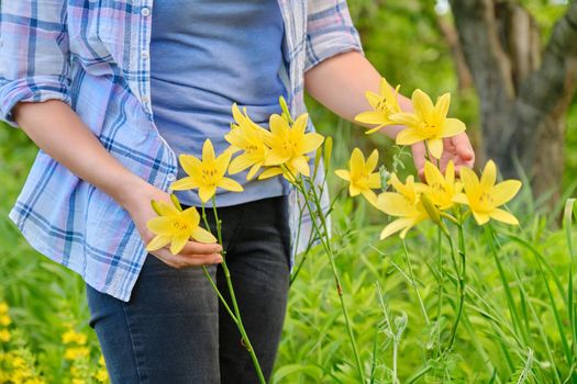 Close-up of woman's hand touching blooming yellow daylily, plants in spring summer garden background, season, botany, beauty of nature concept