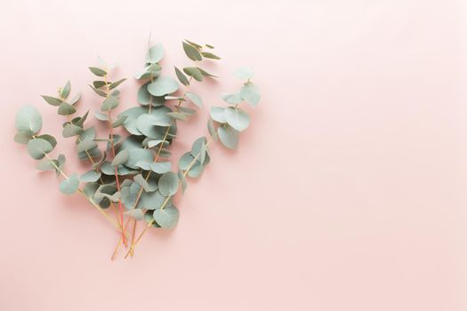 Flowers and eucaaliptus composition. Pattern made of various colorful flowers on white background. Flat lay stiil life.