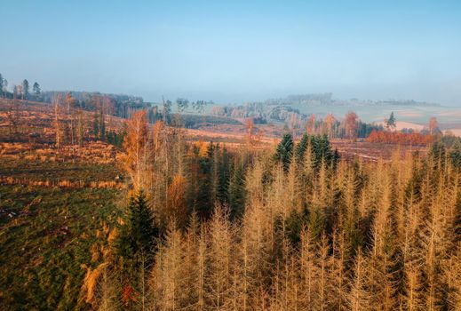 Aerial view of autumn sunrise countryside, traditional fall landscape with rising sun in Central europe. Foggy and misty sunrise. Frozen landscape from bird eye. Czech Republic,Vysocina highland