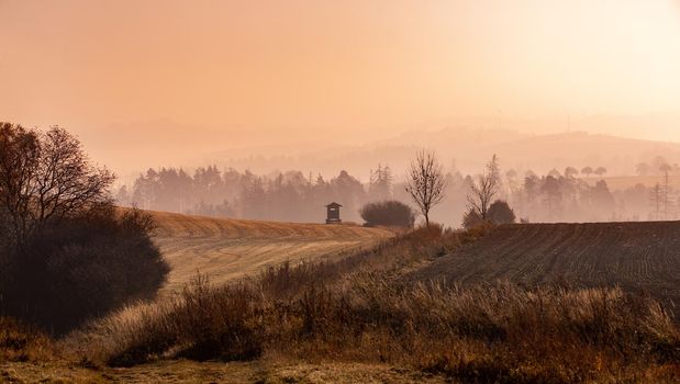 fall misty and foggy landscape with hunting tower and tree silhouette on a fog at sunrise, Puklice Vysocina Czech Republic