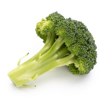 Broccoli isolated on a white background. 
