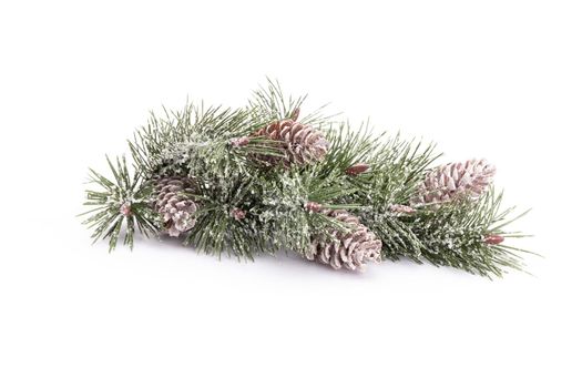 Christmas tree isolated on a white background.