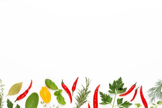 Spice herbal leaves and chili pepper on white background. Vegetables pattern. Floral and vegetables on white background. Top view, flat lay.