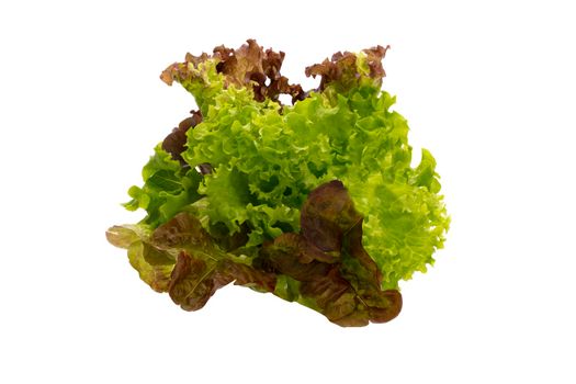 Salad isolated on a white background.