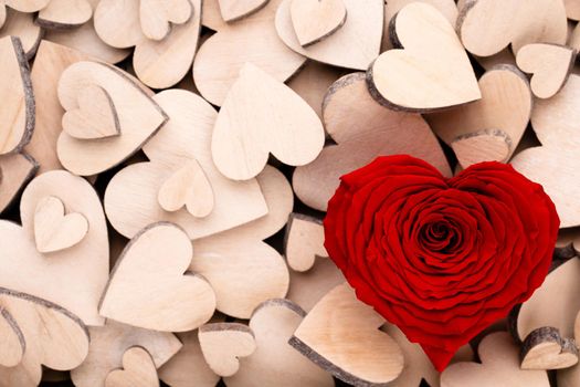 Wooden hearts, one red heart rose on the wooden heart background.	




