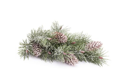 Christmas tree isolated on a white background.