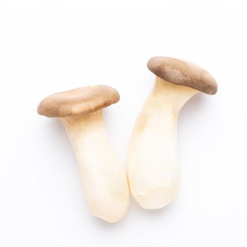 King oyster mushroom. Eryngii mushroom, on white background.