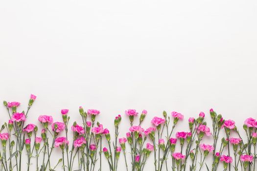 Pink carnation flowers on white background. Valentines day greeting card. Flat lay, top view, copy space. 