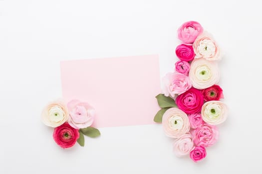 Beautiful colored ranunculus flowers on a white background. Valentines day greeting card.