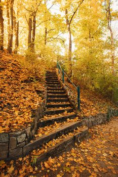 Stone staircase leading up a walkway in public park, autumn fall season