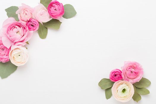 Beautiful colored ranunculus flowers on a white background. Valentines day greeting card.