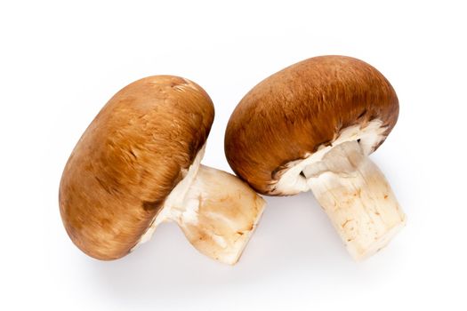 Fresh champignon mushrooms isolated on white. 